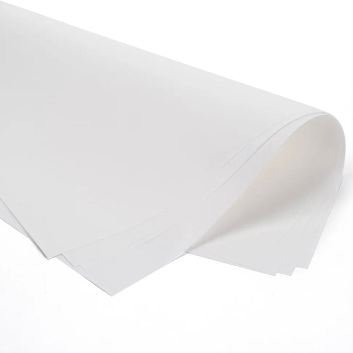 Perkamentpapier 25 cm x 32,5 cm - 10 KG - vetvrij papier - papier - voedsel - kaas - vlees - doos 10 kg