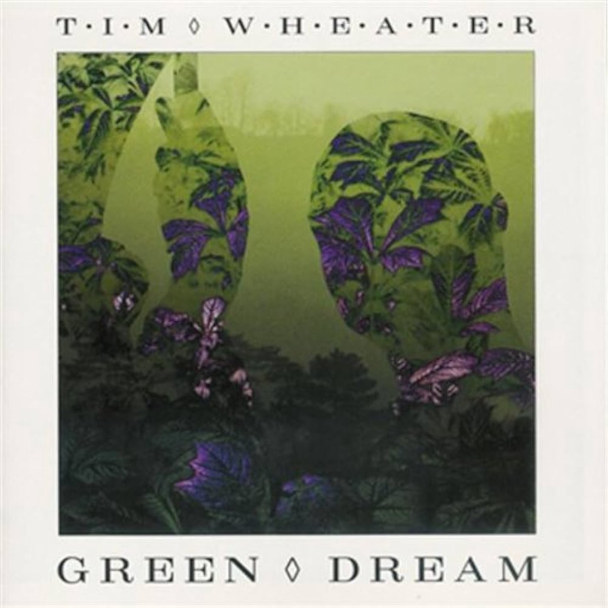 tim wheater green dream