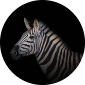 De Muurdecoratie - Schilderij Zebra rond 40x40 cm - Muurcirkels - Zwart wit schilderij - Decoratie woonkamer - Kantoor accessoires - Muurdecoratie kinderkamer - Schilderij dieren - Woondecoratie