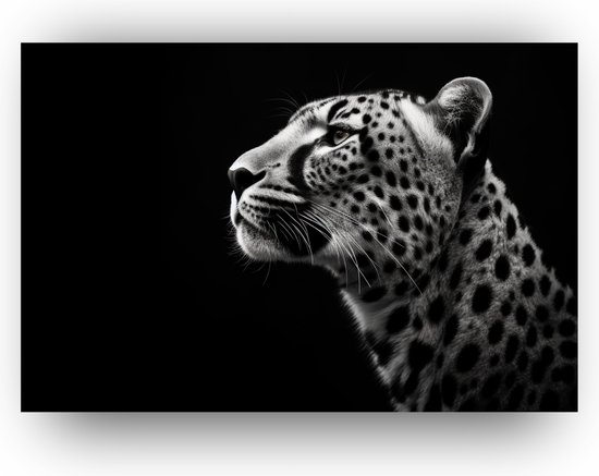 metaal Schilderij zwart wit - Dibond schilderij - Schilderij Cheetah - Cheetah - portret dieren - Cheeta - 120 x 80 cm 6mm