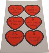 Joy in my Heart - Affirmatiestickers - complimentenstickers - jezelf liefhebben - zelfvertrouwen - Textielstickers 6 stuks van 60 mm - Type 2
