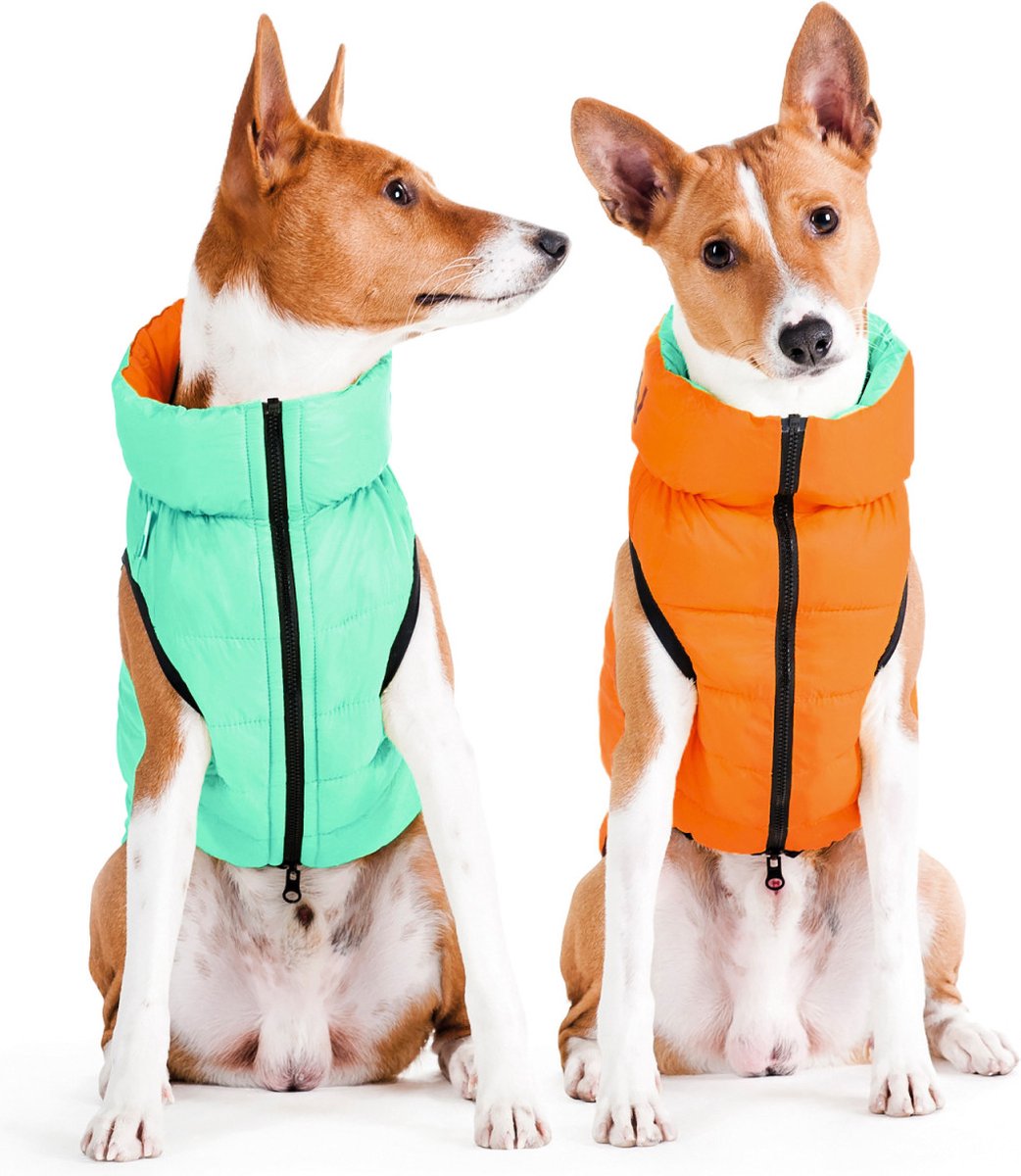 AiryVest Lumi Hondenjas / Hondenjack - Gevoerd - Omkeerbaar - Lightgreen-Orange - Glow In The Dark (lichtgevend) - Maat: XS25 (GELIEVE ALVORENS BESTELLEN OPMETEN)