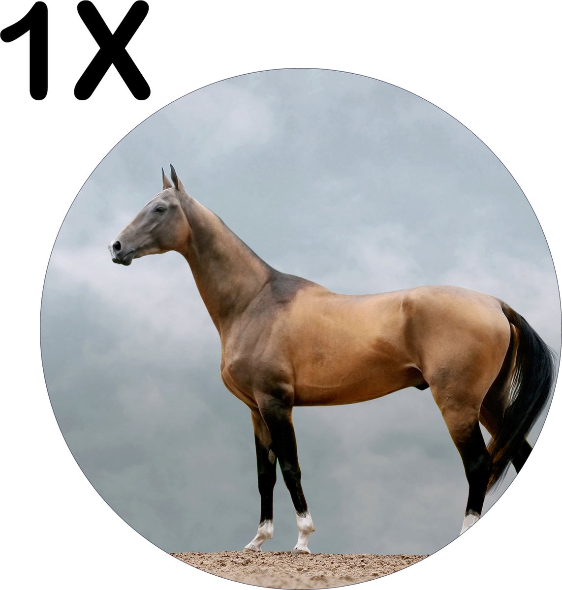 BWK Stevige Ronde Placemat - Bruin Paard - Dier - Grijze Achtergrond - Set van 1 Placemats - 50x50 cm - 1 mm dik Polystyreen - Afneembaar