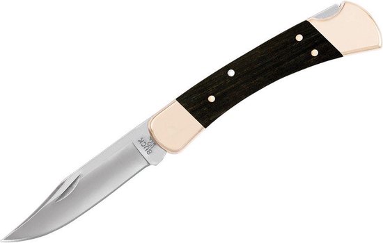 Buck 110 Folding Hunter