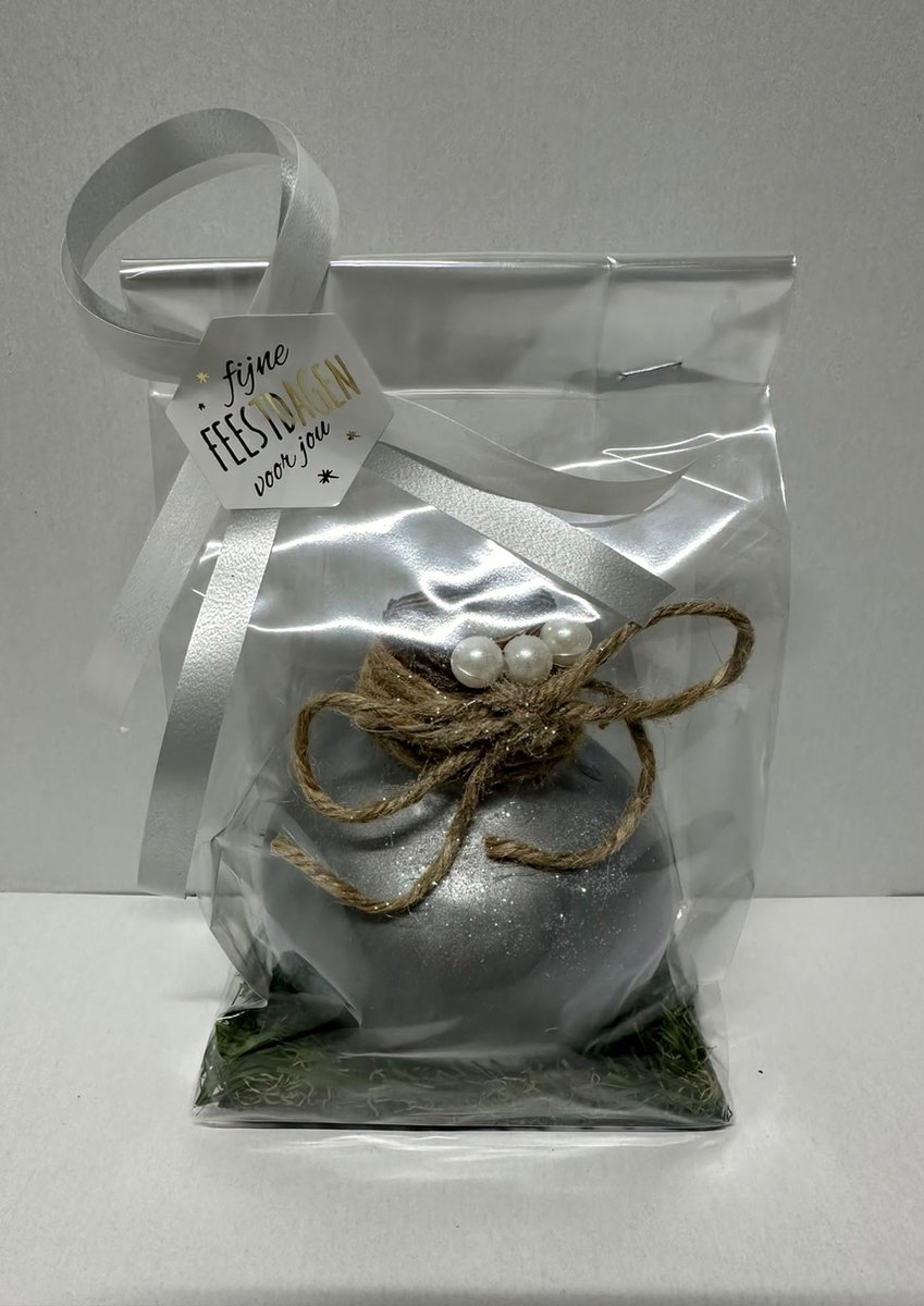 Wax Amaryllis Zilver in leuke geschenkverpakking - relatiegeschenk