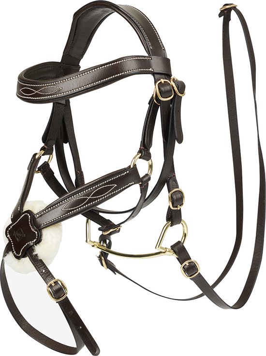 Bruin hoofdstel met witte stiksels en gouden gespen.