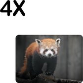 BWK Flexibele Placemat - Rode Panda - Dier - Bos - Boomstam - Set van 4 Placemats - 35x25 cm - PVC Doek - Afneembaar