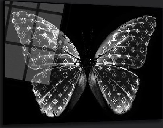 Papillon noir lv 60x40 plexiglas 5mm