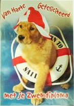Hartelijk gefeliciteerd met je zwemdiploma - hond met reddingsboei met envelop.