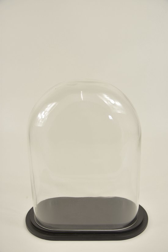 Cloche ovale L verre transparent 24x12,5x30cm plateforme bois noir