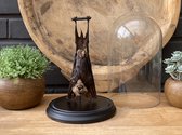 Chauve-souris géante en peluche sous cloche - Taxidermie - Entomologie