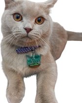 Personaliseren Kattenhalsband - Kattenkop Leiband Tip - noorderlichtthema en fosforescerend kattenhalsband