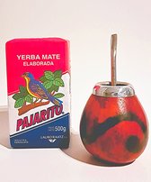 Kalebas Yerba Mate - Originele Kalebas uit Argentinie - met Bombilla (filterrietje)