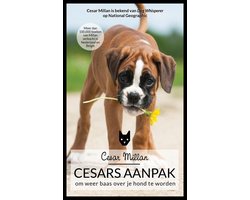 Cesars aanpak