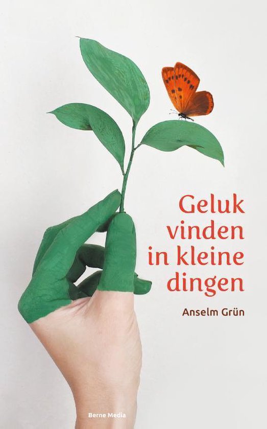 Geluk vinden in kleine dingen - Anselm Grün | Northernlights300.org