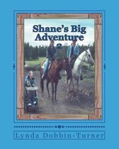 Shane's Big Adventure 2