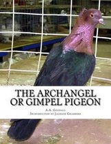 The Archangel or Gimpel Pigeon