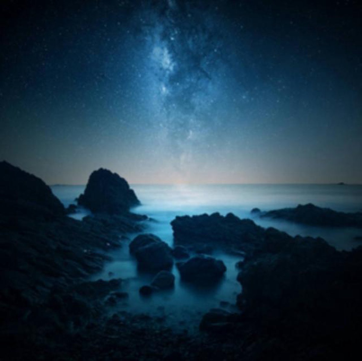 Stardust