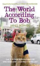 Een oranje kat met een groen-gele sjaal zit op een straat voor een dubbeldekker bus en een witte auto. De titel 'The World According To Bob' staat bovenaan.