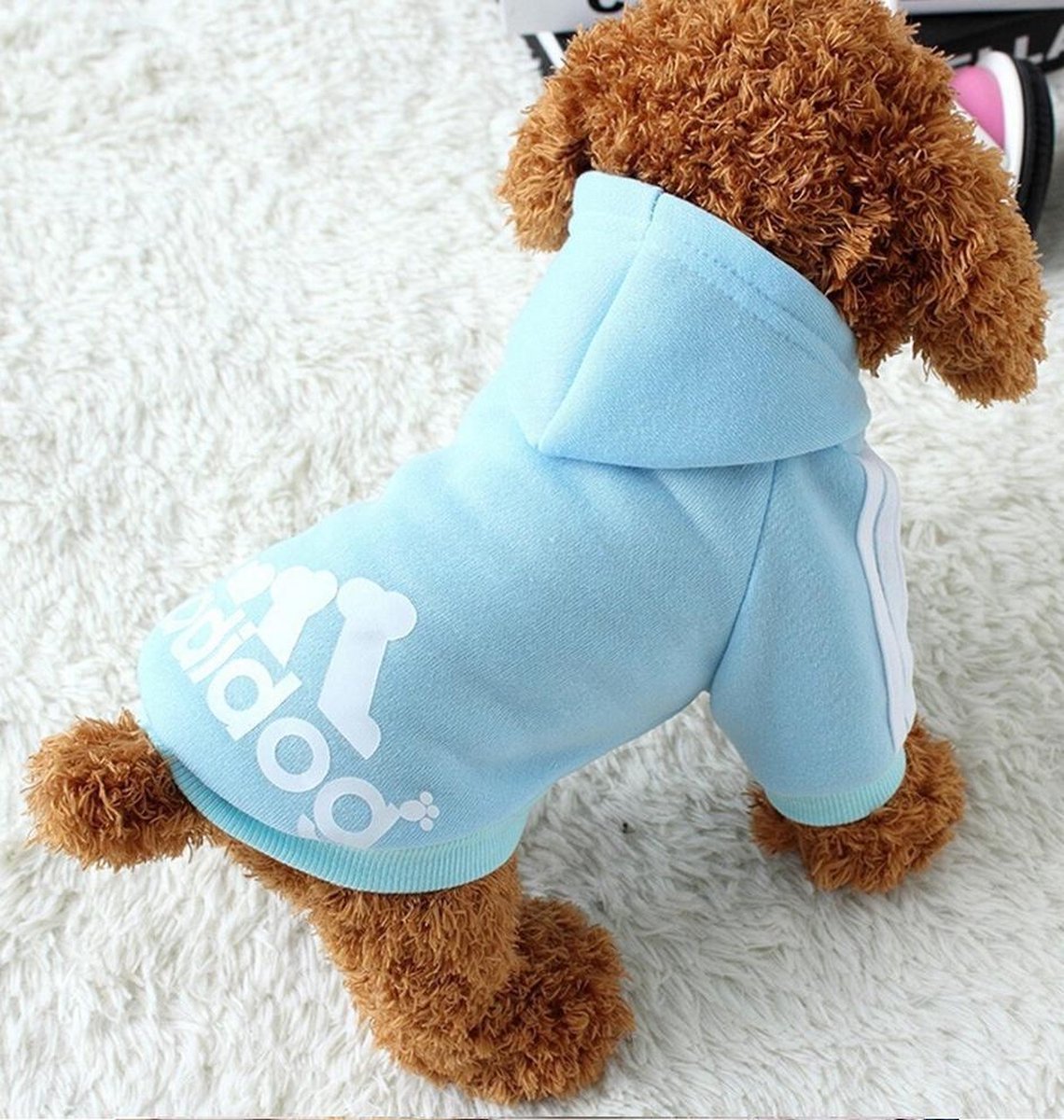 HONDENKLEDING HONDENTRUIEN XS Blauw - Hondenkleding, kleding voor je  hond... | bol.com