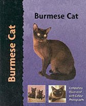 Pet Love Burmese Cat