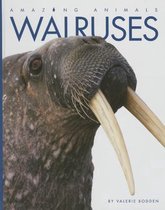Amazing Animals- Walruses