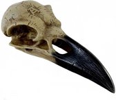 Alchemy - Corvus Alchemica skull Figurine - Beige