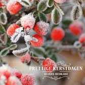 Set van 10 luxe kerstkaarten Besneeuwde bessen
