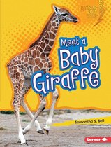 Lightning Bolt Books ® — Baby African Animals - Meet a Baby Giraffe