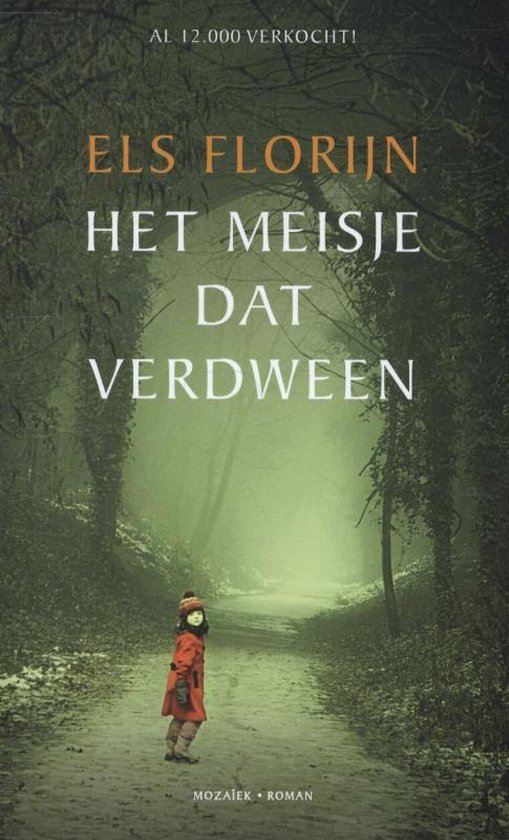 Het meisje dat verdween - cover