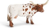 Texas Langhorn, Koe