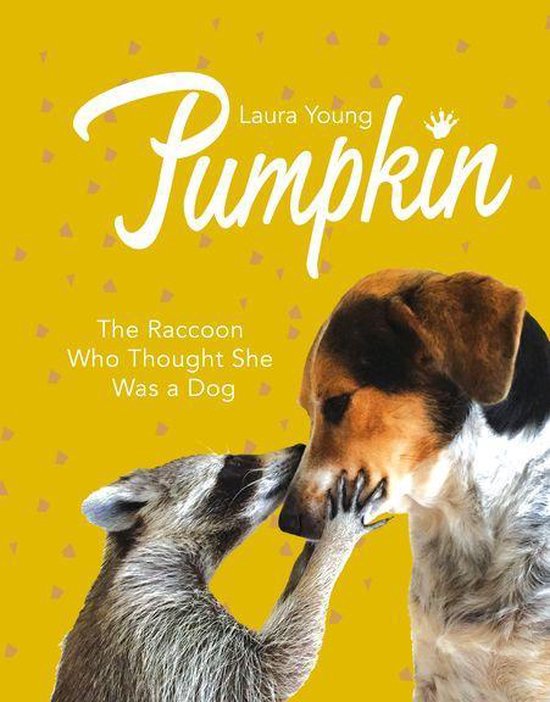 Pumpkin: The Raccoon Who Thought She Was a Dog - cover