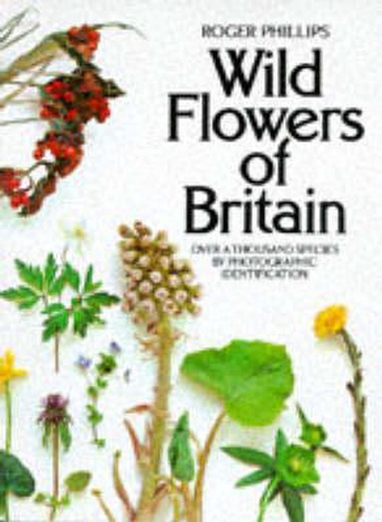 Wild Flowers of Britain, Roger Phillips 9780330251839 Boeken