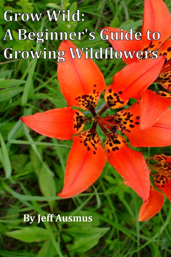 Grow Wild 1 - Grow Wild: A Beginner's Guild to Growing Wildf ... - cover