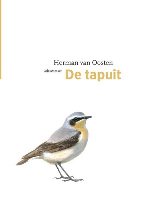 De vogelserie - De tapuit - Herman van Oosten | Northernlights300.org
