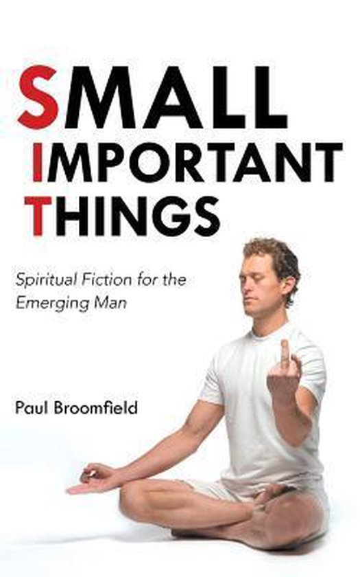 Small Important Things - cover