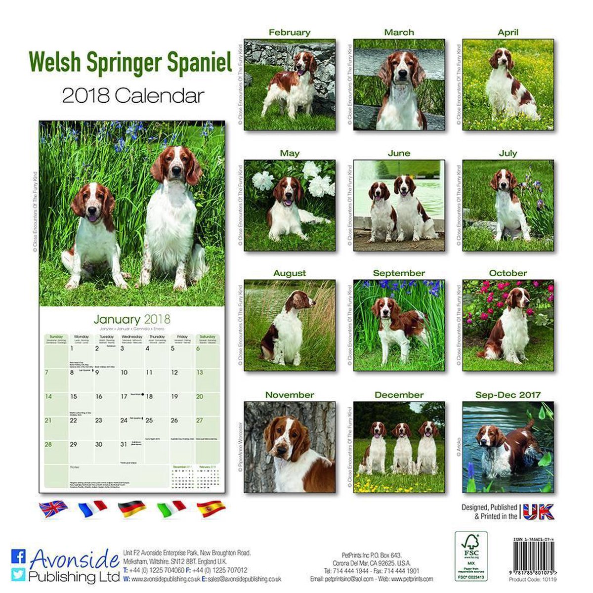 welsh-springer-spaniel-calendar-2018-bol
