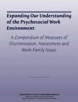 Expanding Our Understanding of the Psychosocial Work Environment