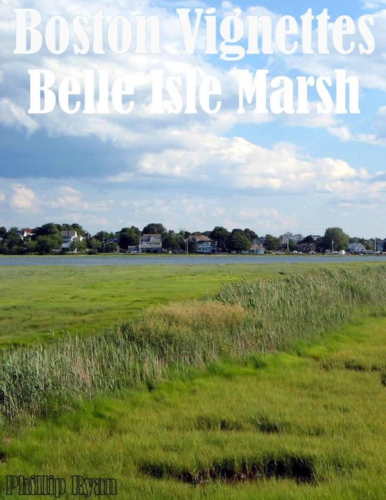 Boston Vignettes: Belle Isle Marsh - cover