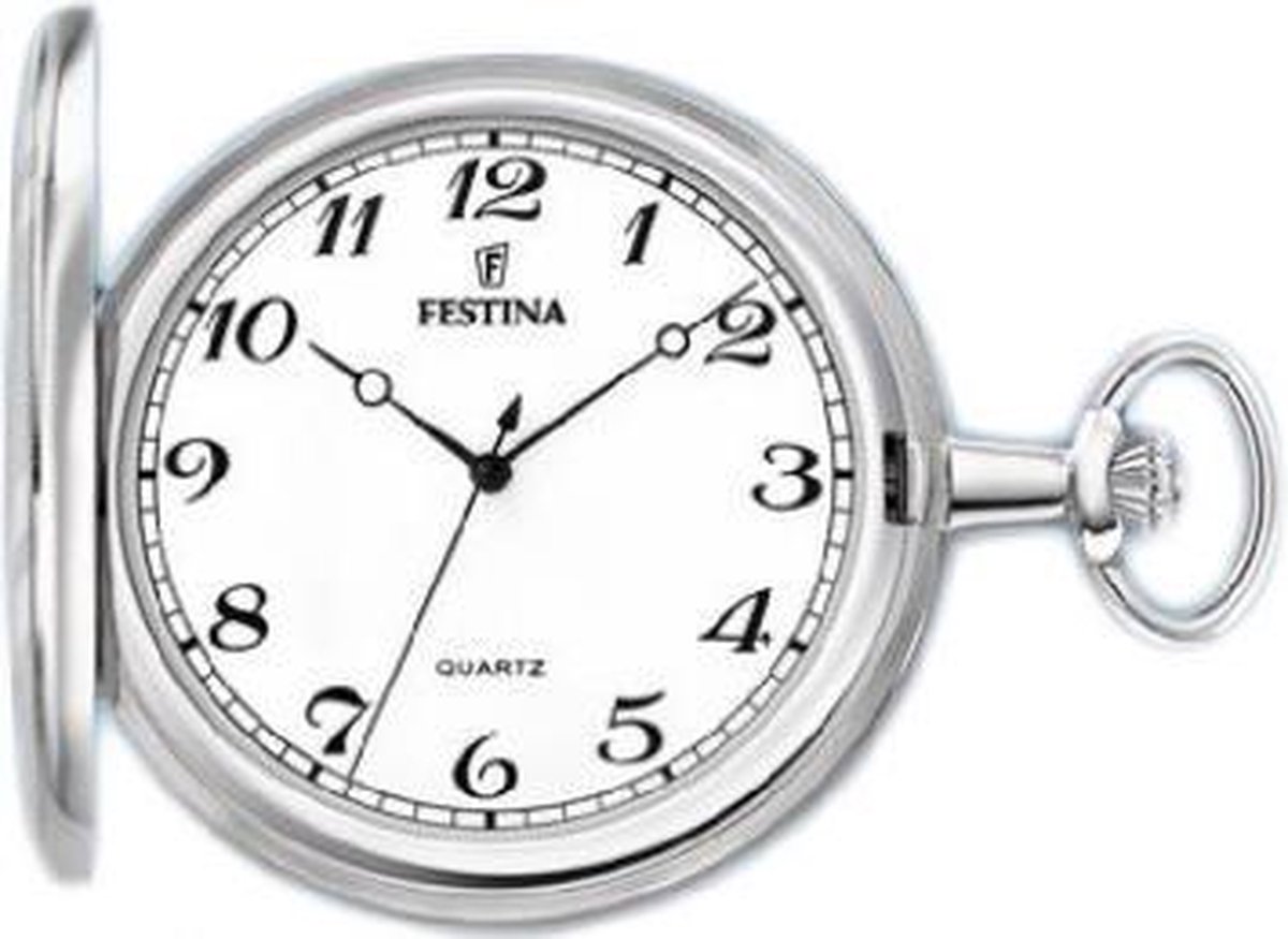 Festina F2022/1 - Zakhorloge - Staal - Zilverkleurig - Ø 49 mm | bol.com