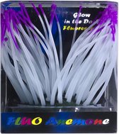 Superfish Fluo Anemone Paars