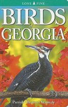 Birds of Georgia