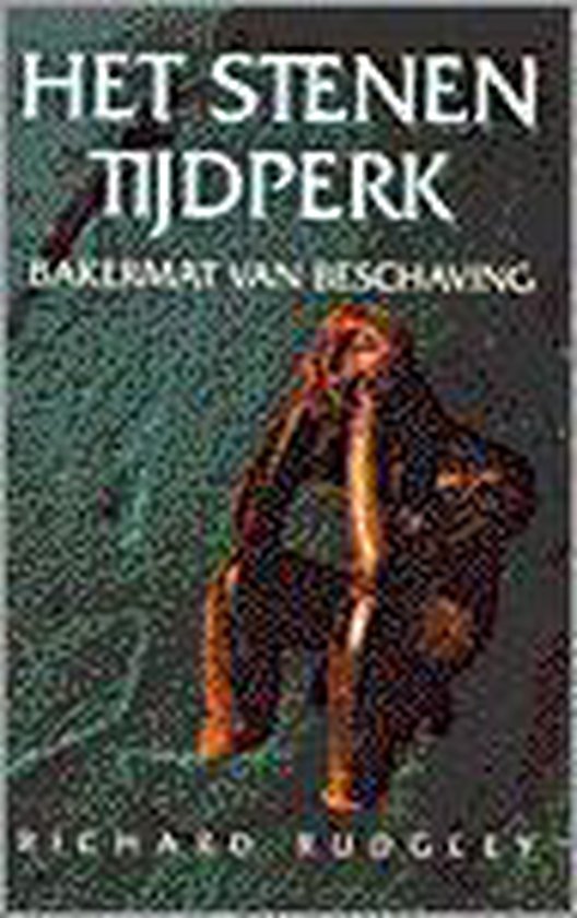 Het stenen tijdperk - cover