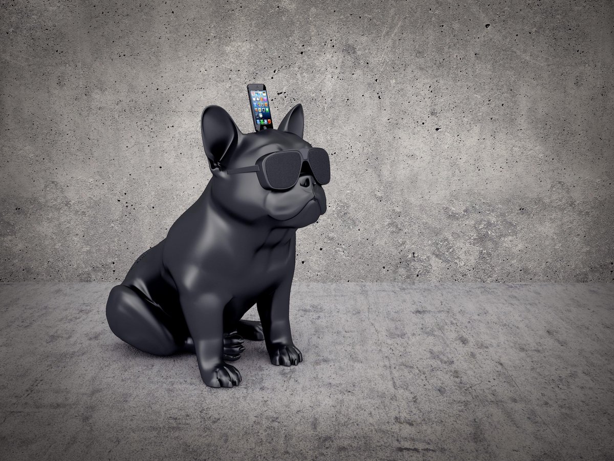 Jarre Technologies AeroBull HD docking luidspreker 2.1 kanalen 120 W