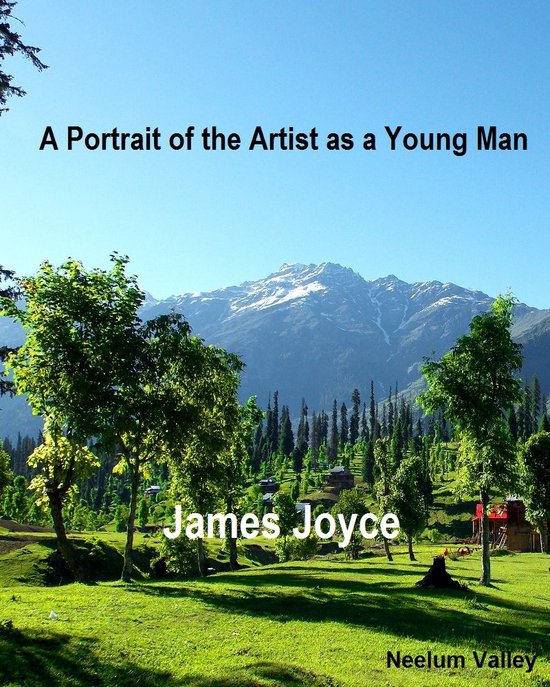 A Portrait of the Artist as a Young Man - cover