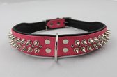 Dog's Companion - Leren halsband - met spikes - Roze/Zwart - 51-60cmx50 mm - Lengte: 65cm (50 mm), Kleur: Roze / Zwart