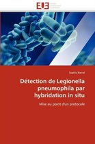 Détection de Legionella pneumophila par hybridation in situ