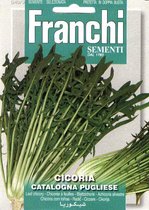 Franchi Cicoria Catalogna Pugliese 40/9 10 gram