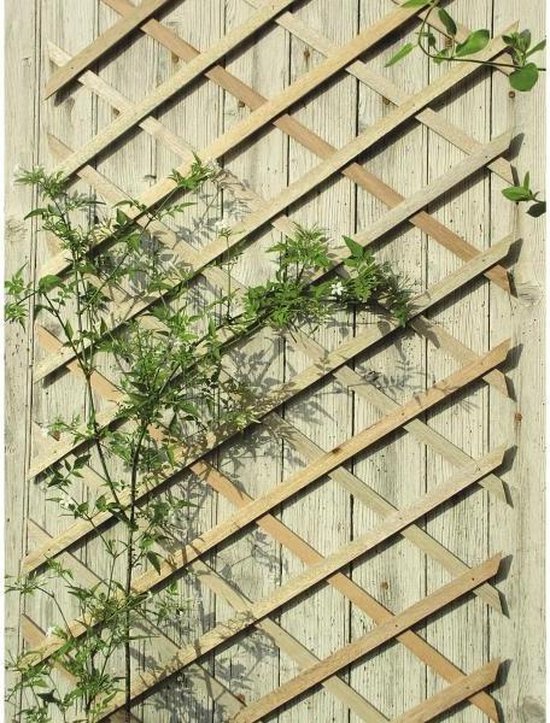 Klimplantgeleider - 60 x 200 cm