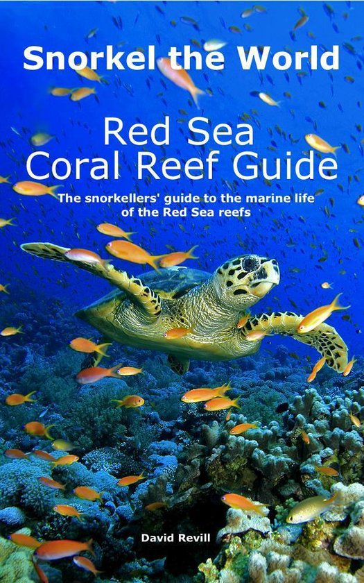 Foto: Snorkel the world red sea coral reef guide